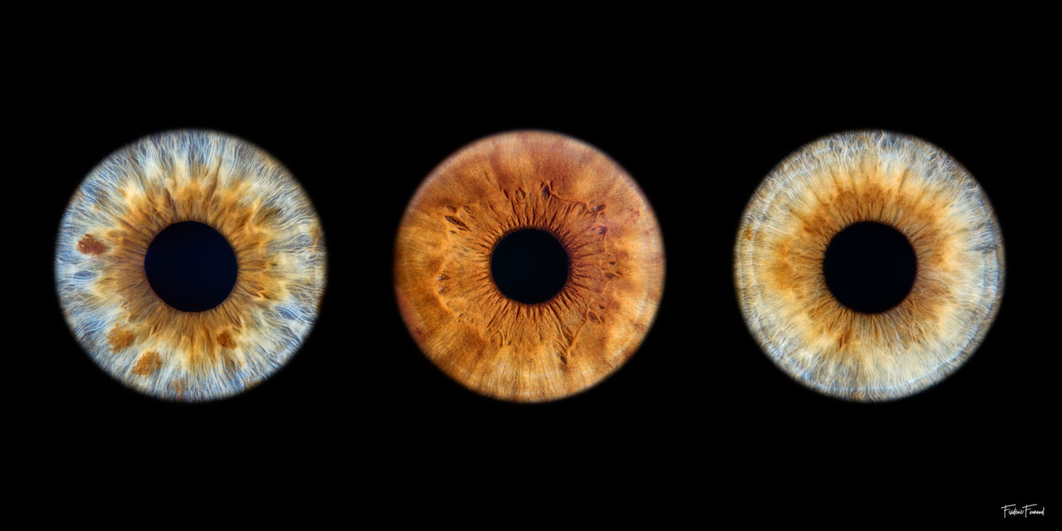 Photo Iris Port-la-Nouvelle